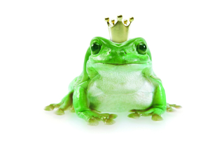 Froschkönig Michel Müller - Fotolia.com