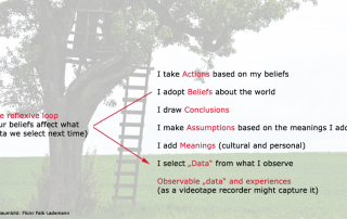 Ladder of Inference