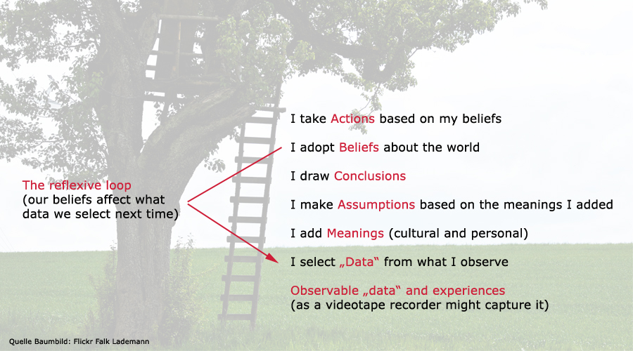 Ladder of Inference